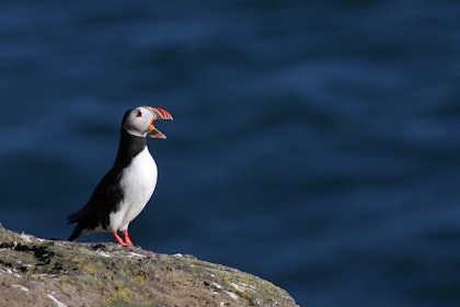Island Rundreise 14 Tage: Wasserfälle & Vulkane erleben - Image 2