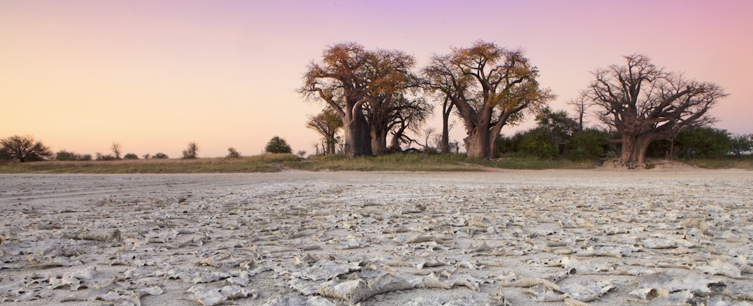 Autotour au Botswana