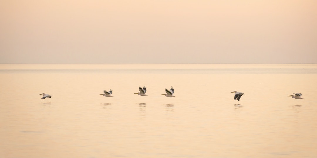 Eco Safari Reise in Afrika