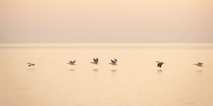 Eco Safari Reise in Afrika - Image 2