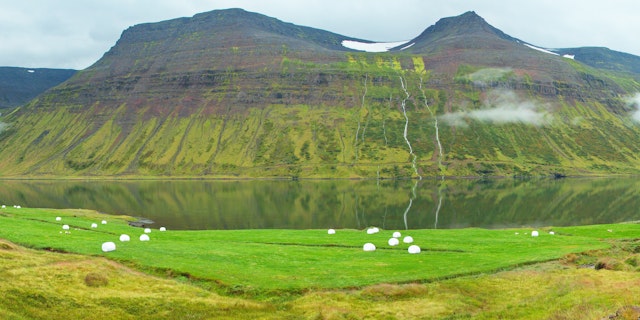 Suðureyri-5