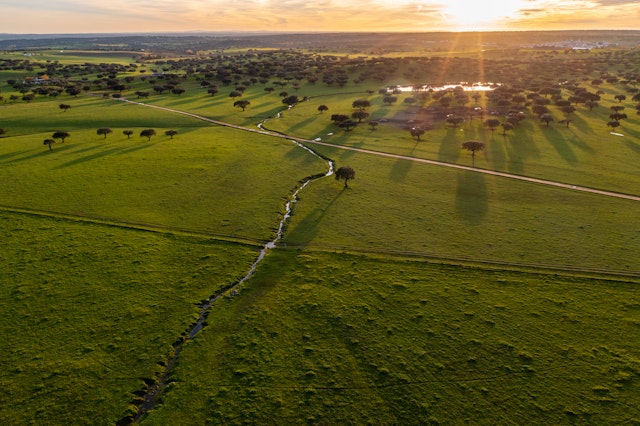 Beja District-4