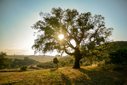 Circuit Lisbonne et Algarve - Image 3