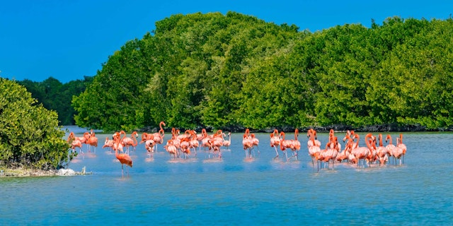 Yucatan Peninsula-8
