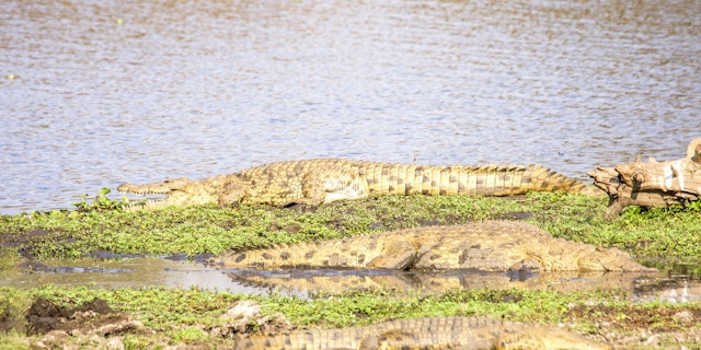 Rundu-7