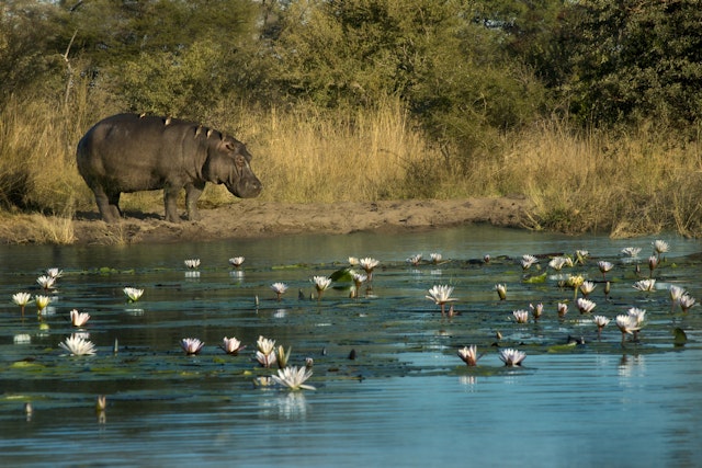 Rundu-2