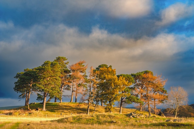 Pitlochry-5