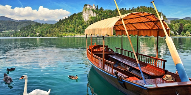 Bled-3