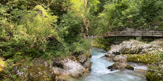 Bled-1