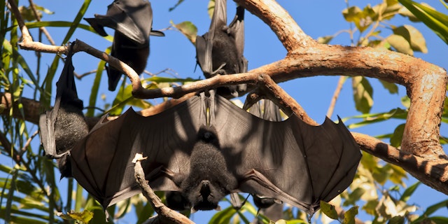 Litchfield National Park-5