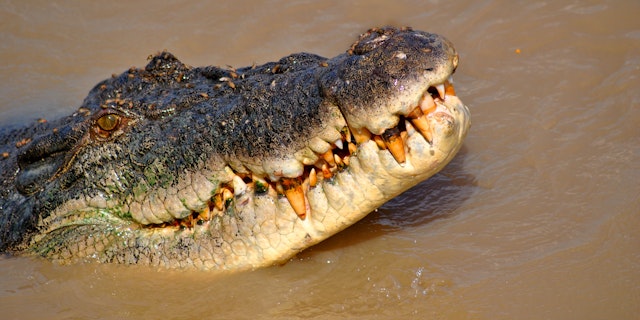 Litchfield National Park-8