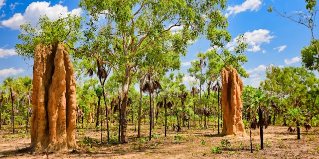 Litchfield National Park-1
