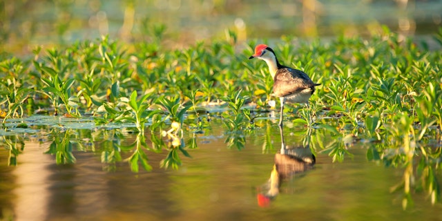 Litchfield National Park-9
