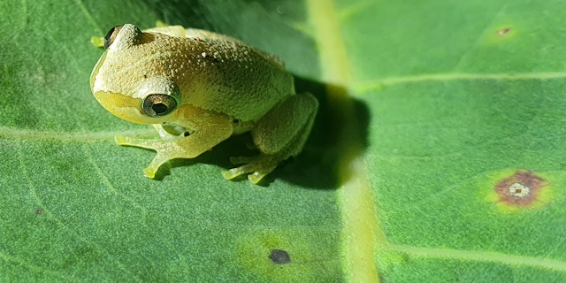 Litchfield National Park-4