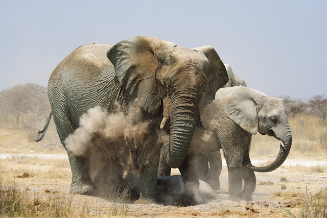 Etosha East-1