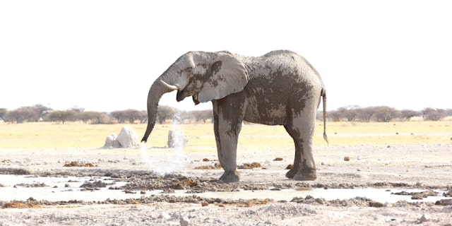 Nxai Pan National Park-3