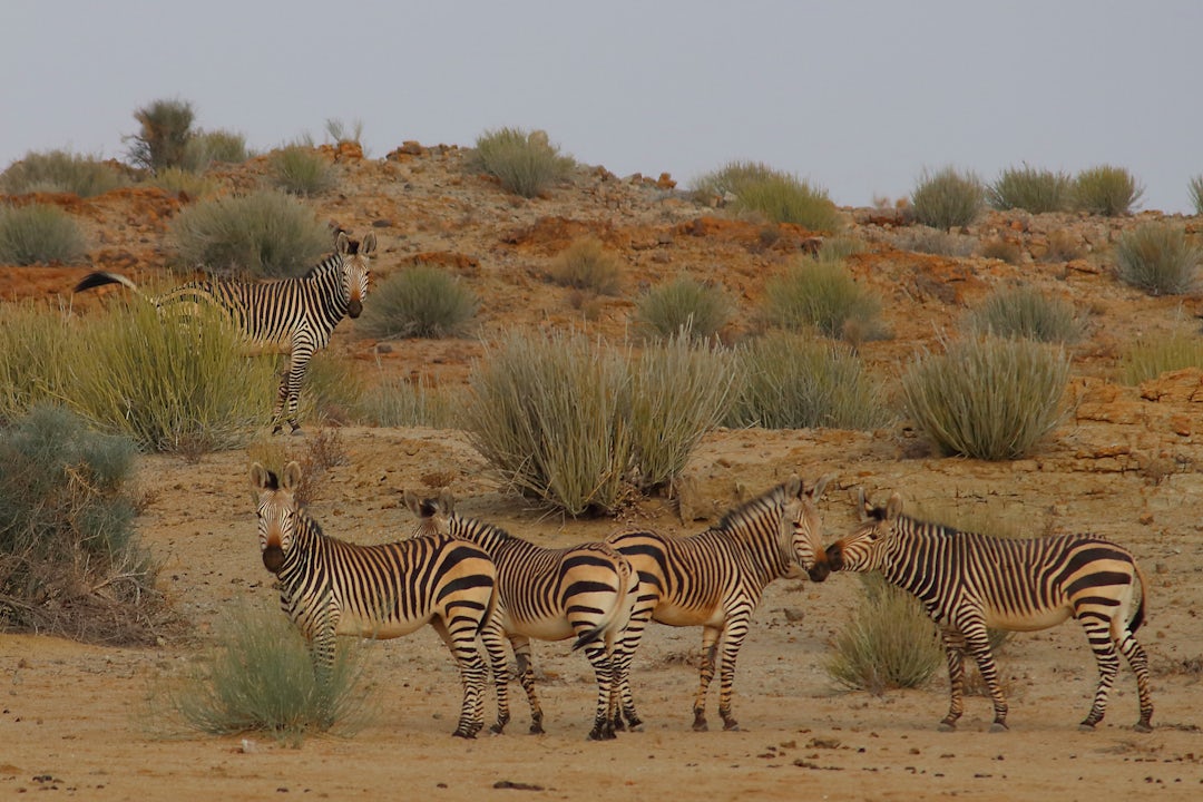 Namibia mit Kindern: 3-Wochen-Selbstfahrer-Tour
