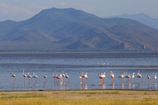 Campingsafari Tansania 11 Tage