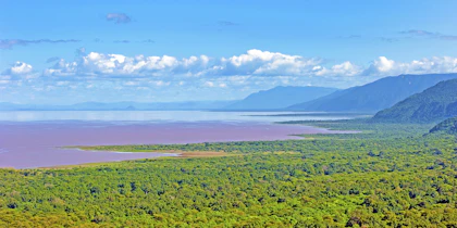 Aventure sauvage en Tanzanie - Image 4