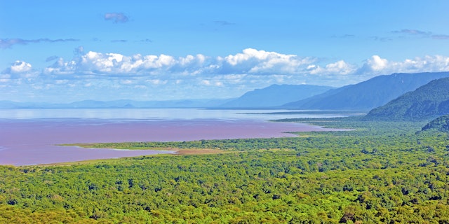 Lake Manyara-0
