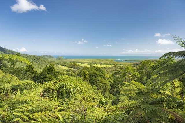 Palm Cove-2