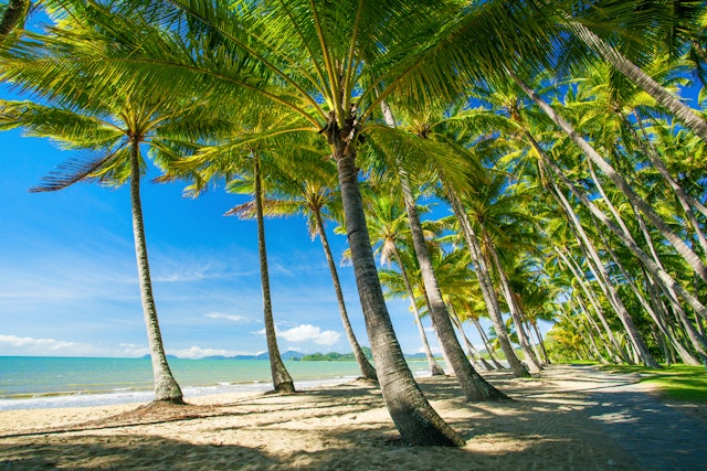 Palm Cove-0