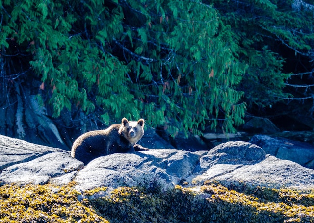Campbell River-2