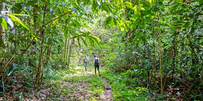 Circuit Amazonie et Colombie - Image 3