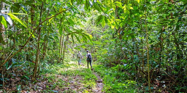 Circuit Amazonie et Colombie