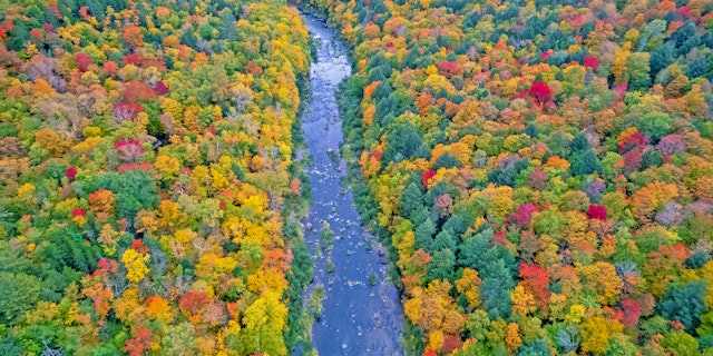 Green Mountain National Forest-3
