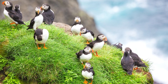 Faroe Islands-6