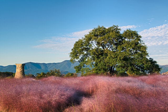 Gyeongju-1