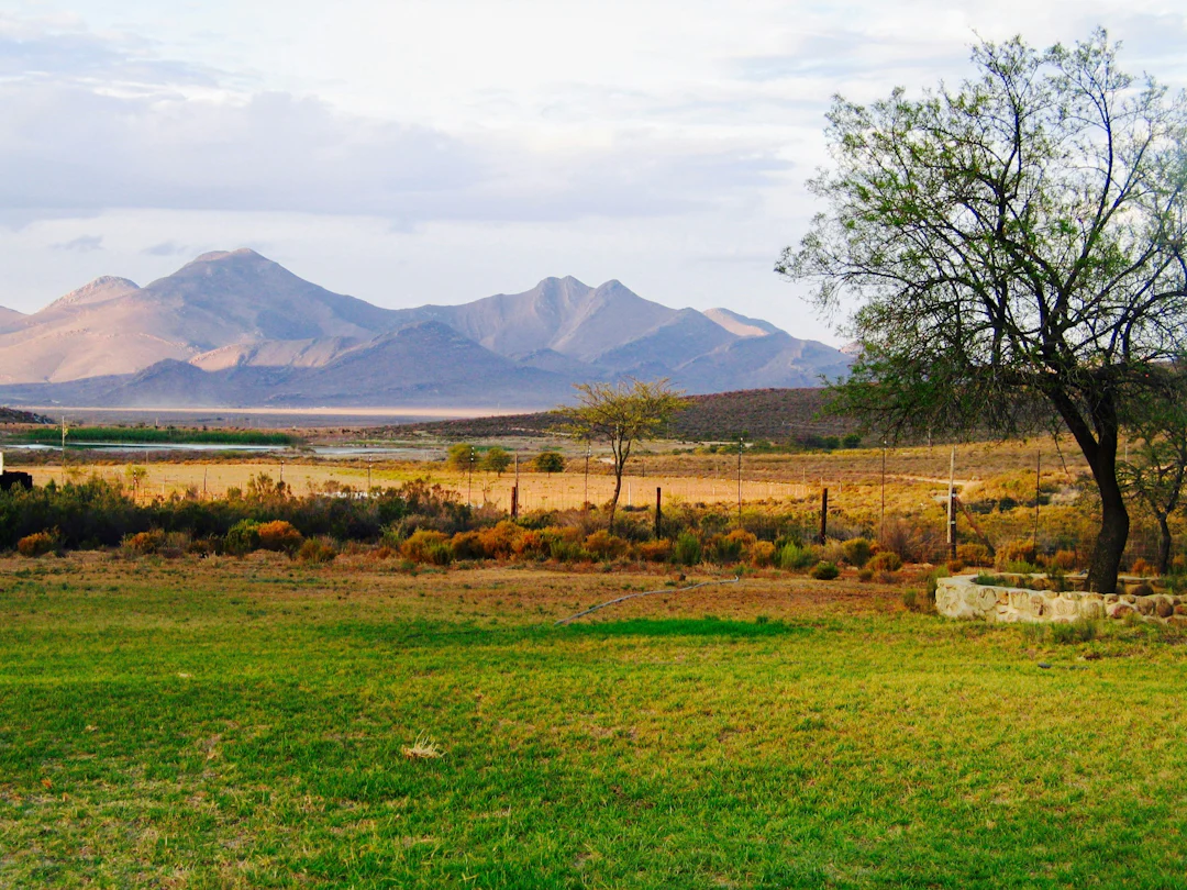 Kapstadt Rundreise 10 Tage: Natur, Wale & Route 62
