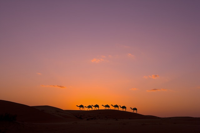 Wahiba Sands-4