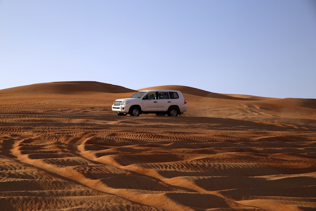 Wahiba Sands-3