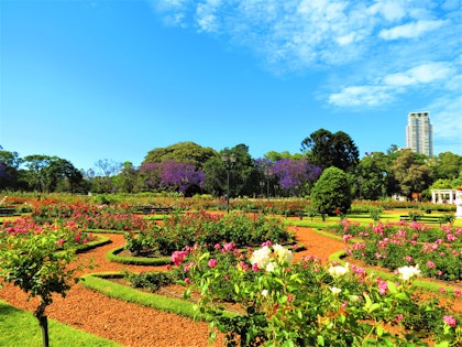 Patagonien Rundreise 2 Wochen: Wanderreise zu Fuß entdecken - Image 3