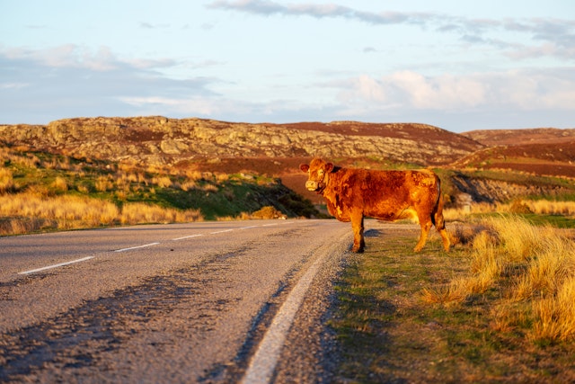 Selbstfahrer-Rundreise Schottland & Isle of Skye 1 Woche
