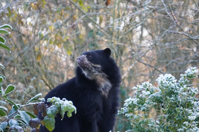 Circuit incontournables en Équateur