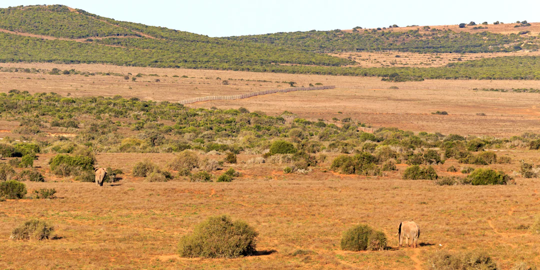 Circuit en Afrique du Sud de 15 jours