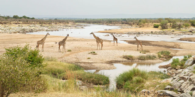 Northern Serengeti-0