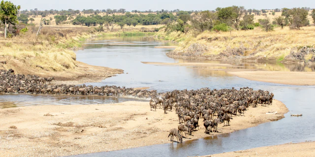 Northern Serengeti-5
