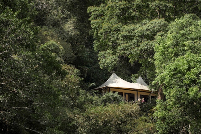 Four Seasons Tented Camp Golden Triangle
