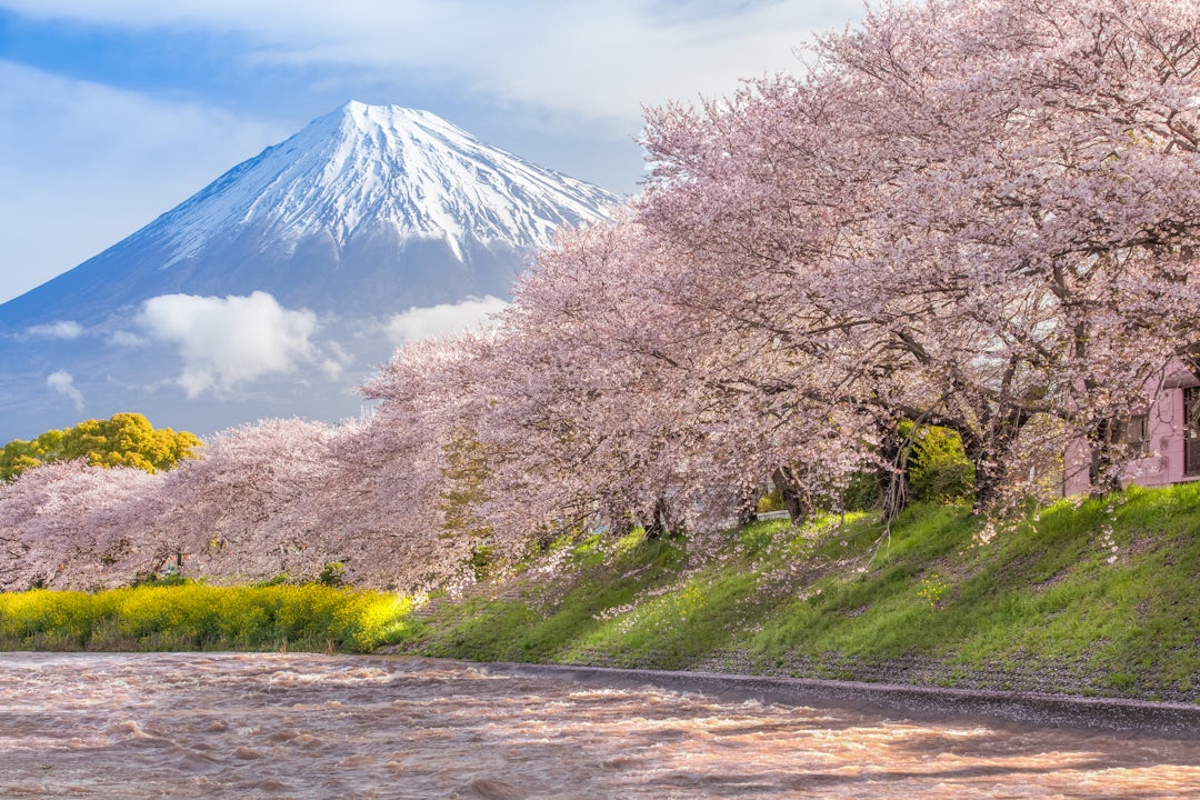 Voyage au Japon 1 semaine