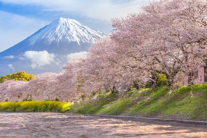 Voyage au Japon 1 semaine - Image 4