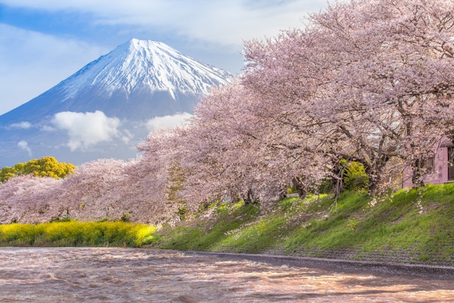Fuji-Hakone-Izu National Park-3