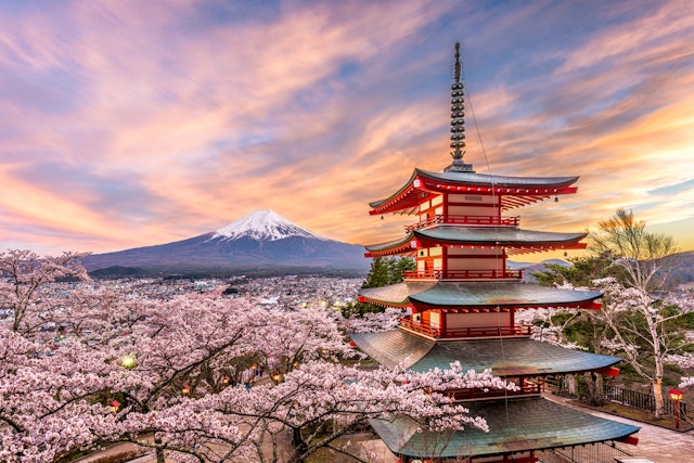 Fuji-Hakone-Izu National Park-1