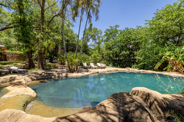 Gecko Lodge