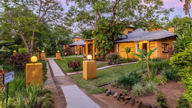 Gecko Lodge