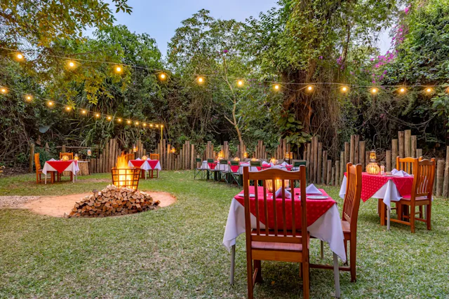 Gecko Lodge