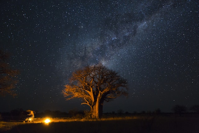 Planet Baobab Campsite